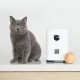 Універсальний посуд для тварин Pawbby Smart Snack Machine (MG-PSM001EU)
