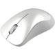 Мишка Canyon MW-11 Wireless Pixart White Grey (CNE-CMSW11PW)