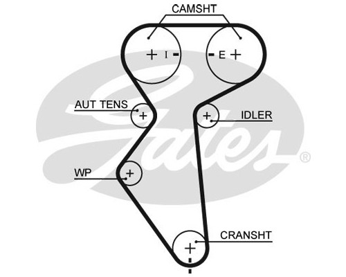 Ремінь ГРМ Gates 5419XS