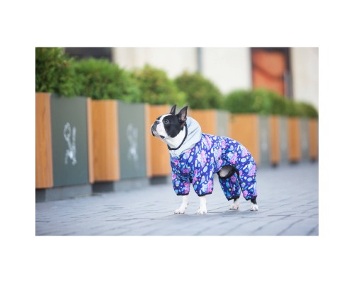 Комбінезон для тварин Collar WAUDOG Clothes 