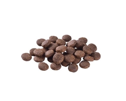 Сухий корм для собак Brit Care Dog Grain-free Junior Large Breed для великих порід з лососем 3 кг (8595602558872)