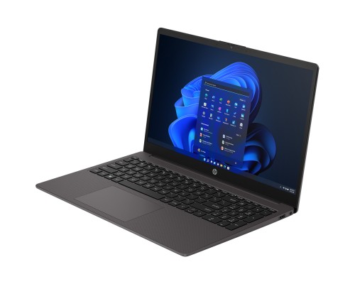 Ноутбук HP 255 G10 (8X916ES)