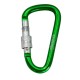 Карабін туристичний Tramp Набір 10 шт з муфтою 7 cм Green (UTRA-302-green)
