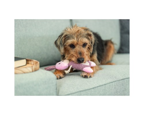 Іграшка для собак Trixie Заєць Тканина і плюш 24 см (4011905361543) 