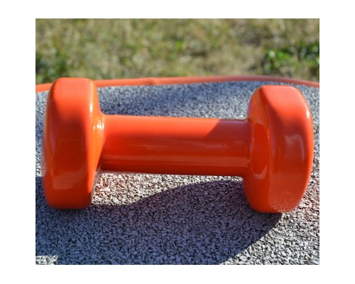 Гантель PowerPlay PP_4103 вінілова 1 кг Помаранчева (PP_4103_1kg)