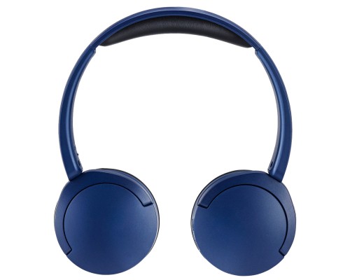 Навушники Panasonic RB-HF630B Blue (RB-HF630BG-A)