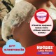 Підгузки Huggies Little Movers/Pants 5 (12-17 кг) для хлопчиків 96 шт (5029054568163)