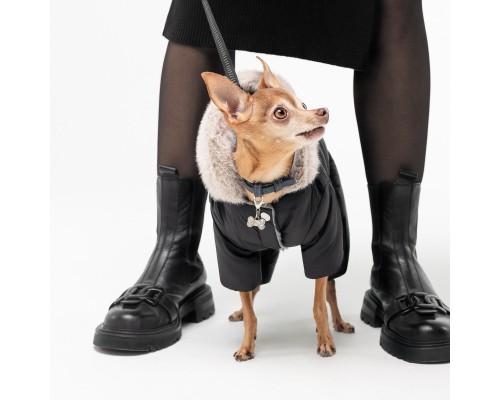 Костюм для тварин Pet Fashion BLACK M (4823082428649)