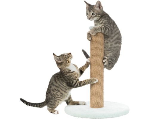 Дряпка (кігтеточка) для котів Trixie Junior Стовпчик 30х42 см м'ятна (4011905429328)