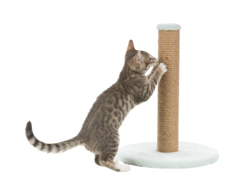 Дряпка (кігтеточка) для котів Trixie Junior Стовпчик 30х42 см м'ятна (4011905429328)
