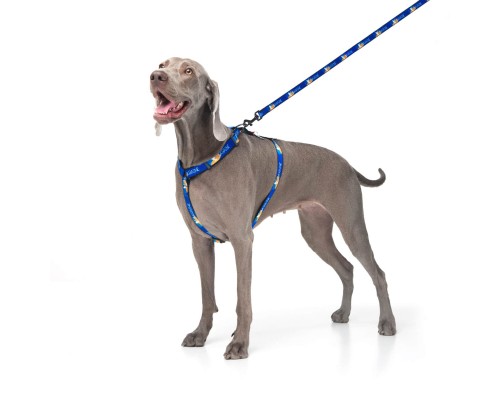 Шлея для собак WAUDOG Nylon з QR паспортом анатомічна H-подібна 