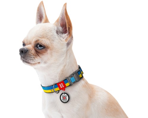 Нашийник для тварин WAUDOG Nylon з QR паспортом Colors of freedom пластиковий фастекс L (4503-4020)