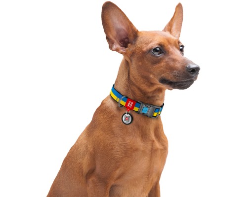 Нашийник для тварин WAUDOG Nylon з QR паспортом Colors of freedom пластиковий фастекс L (4503-4020)