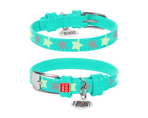 Нашийник для тварин WAUDOG Glamour з QR-паспортом 