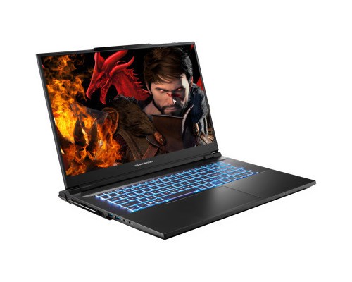 Ноутбук Dream Machines RX4090-17 (RX4090-17UA36)