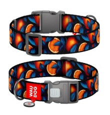 Нашийник для тварин WAUDOG Nylon з QR паспортом 