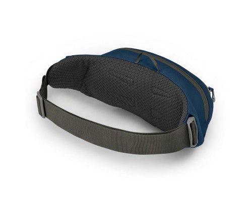 Сумка-бананка Osprey Daylite Waist wave blue O/S (009.2497)