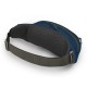 Сумка-бананка Osprey Daylite Waist wave blue O/S (009.2497)
