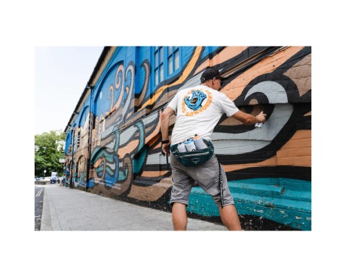 Сумка-бананка Osprey Daylite Waist wave blue O/S (009.2497)