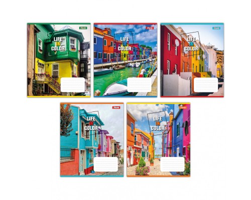Зошит 1 вересня Life in colors А5 24 аркушів клітинка (767279)