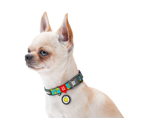 Нашийник для тварин WAUDOG Nylon з QR-паспортом 