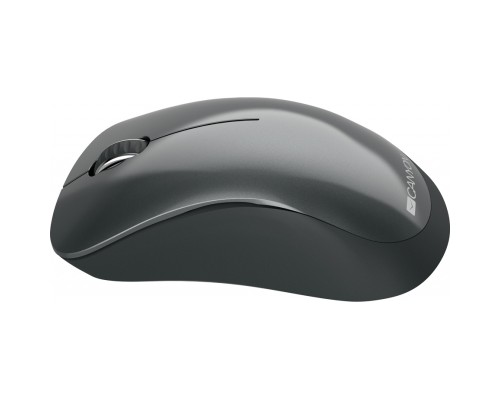 Мишка Canyon MW-11 Wireless Pixart Black (CNE-CMSW11B)