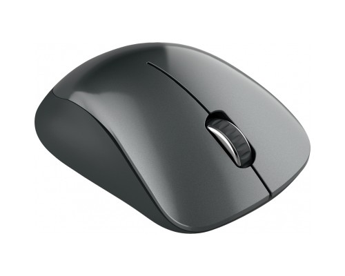 Мишка Canyon MW-11 Wireless Pixart Black (CNE-CMSW11B)
