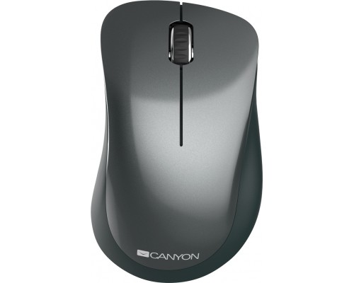 Мишка Canyon MW-11 Wireless Pixart Black (CNE-CMSW11B)