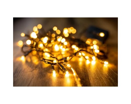 Гірлянда BPNY White 100 LED, 5М, 8 функцій, 220V (102952)