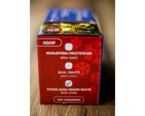 Гірлянда BPNY White 100 LED, 5М, 8 функцій, 220V (102952)
