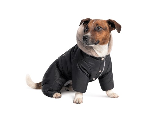 Костюм для тварин Pet Fashion BLACK S (4823082428632)