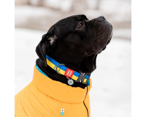 Нашийник для тварин WAUDOG Nylon з QR паспортом Colors of freedom пластиковий фастекс M (4502-4020)