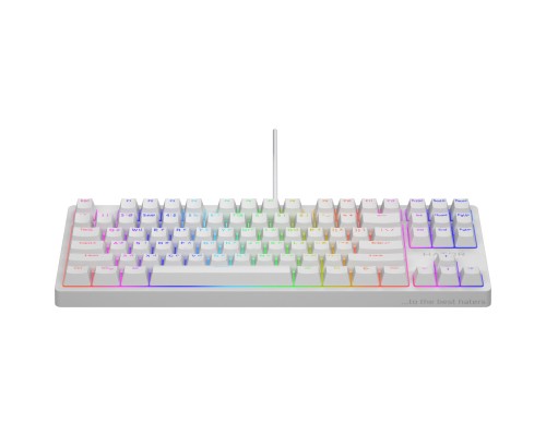 Клавіатура Hator Rockfall 2 Optica TKL Black USB White (HTK-731)