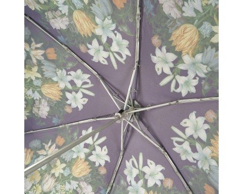 Парасоля Fulton National Gallery Tiny-2 L794 National Gallery Tiny-2 Bosschaert (L794-085297)