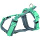 Шлея для собак Trixie Premium Трекінгова M-L 62-74 см 25 мм Аква-графіт (4053032679108)