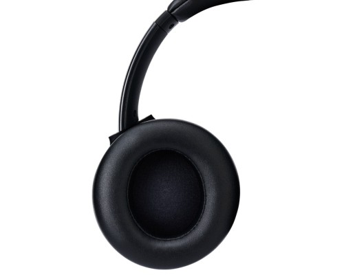 Навушники Panasonic RB-M600B Black (RB-M600BG-K)