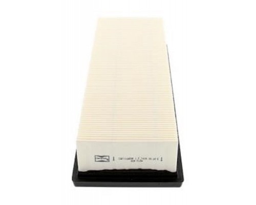 Повітряний фільтр для автомобіля Champion CAF100859P