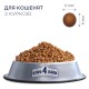 Сухий корм для кішок Club 4 Paws Преміум. Для кошенят зі смаком курки 5 кг (4820083909108)