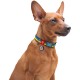 Нашийник для тварин WAUDOG Nylon з QR паспортом Colors of freedom пластиковий фастекс S (4501-4020)