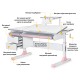 Парта Mealux Hamilton Multicolor Pink з полицею S-50 (BD-680 W/G MC +PN +S50 WG)
