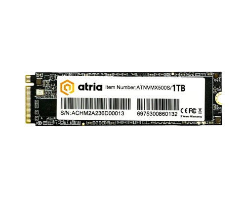 Накопичувач SSD M.2 2280 1TB X500S ATRIA (ATNVMX500S/1024)