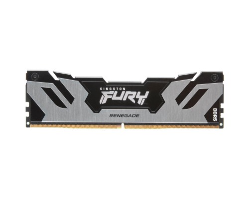 Модуль пам'яті для комп'ютера DDR5 48GB 6000 MHz Renegade Silver XMP Kingston Fury (ex.HyperX) (KF560C32RS-48) Модуль пам'яті для комп'ютера DDR5 48GB 6000 MHz Renegade Silver XMP Kingston Fury (ex.HyperX) (KF560C32RS-48)