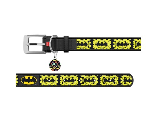 Нашийник для тварин WAUDOG Design з QR-паспортом 