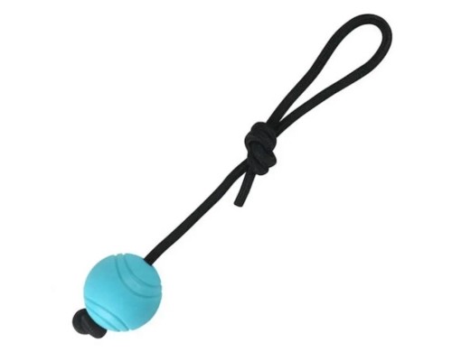 Іграшка для собак Nunbell М'яч на шнурку Середній 6 см (YM0170) 