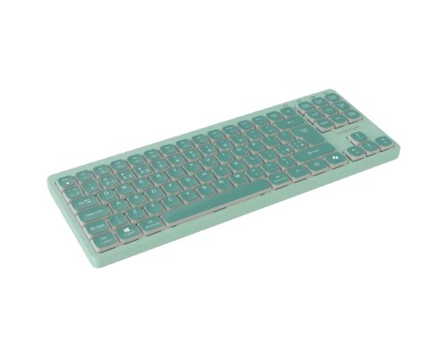 Клавіатура Canyon OnType 10 TKL Mechanical Silent Low-profile USB UA Green (CNS-HKB10GR)