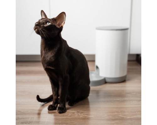 Універсальний посуд для тварин Petoneer Nutri Mini Feeder (PF005)