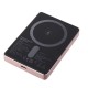 Батарея універсальна Intenso MW10000 10000mAh Magnetic rose (7344033)