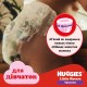 Підгузки Huggies Little Movers/Pants 6 (15-25 кг) Box для дівчаток 60 шт (5029053564135)
