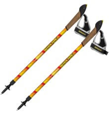 Палиці для скандинавської ходи Vipole Vario Kids (929313)