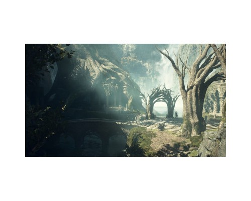 Гра Xbox Dragon's Dogma II, BD диск (5055060954645)